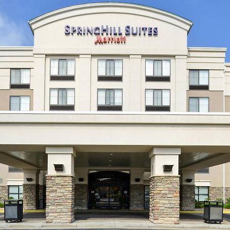 Springhill Suites Pittsburgh Mills Tarentum Eksteriør billede