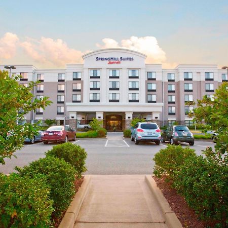 Springhill Suites Pittsburgh Mills Tarentum Eksteriør billede